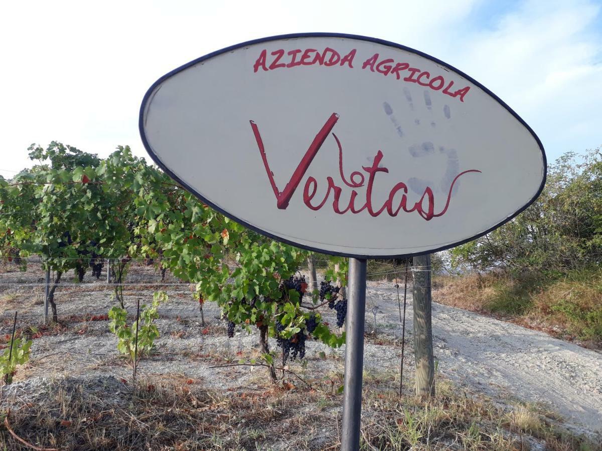 Agriturismo "Veritas" Bed & Wine Casaleggio Boiro Bagian luar foto